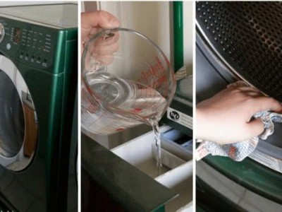 Vì Sao Máy Giặt Công Nghiệp Có Thể Là Ổ Vi Khuẩn Và Cách Xử Lý?